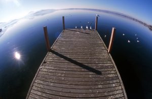 fish eye