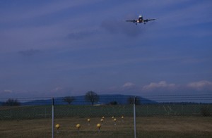 landing-361