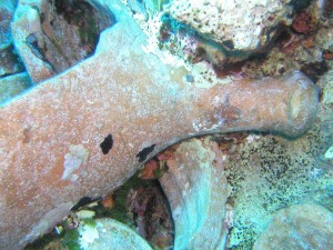 amphora photos15