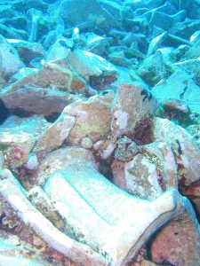amphora photos16
