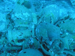 amphora photos26