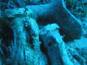 amphora photos27