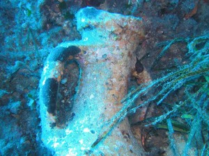 amphora photos29