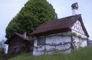houses-n9me