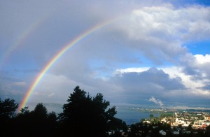 rainbow-8d3