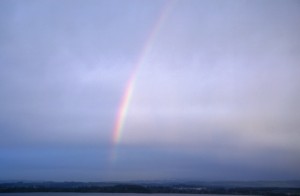 rainbow-photo-951