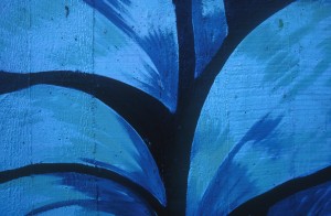 blue-5c2q