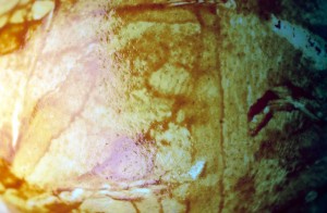 egg-8nh6