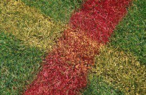 lawn-v6h3