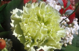 flower-314