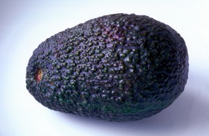 avocado-k6dx