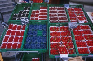 berries-5xc8