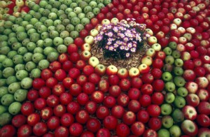 exhibition-fruits-37
