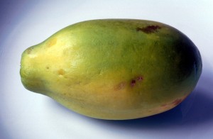fruit-09