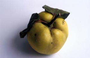 fruit-10