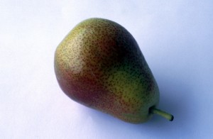 fruit-p1id