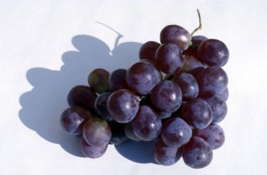 grapes-b69i