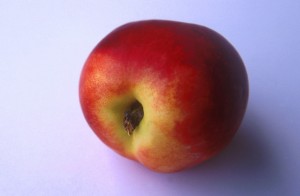 nectarine-zw3c