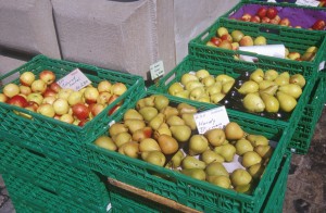 pears-apples-t4c1