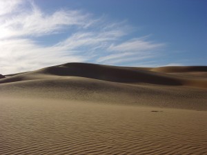 sahara-free-large-photos1616