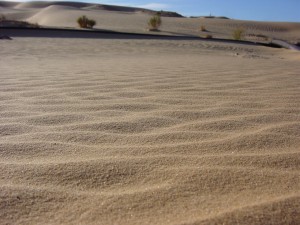 sahara-photos1212