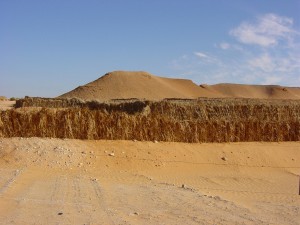 sahara-pictures0505