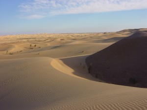 sand-in-sahara