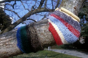 decoration-851