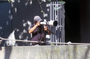 photographer-v5sp