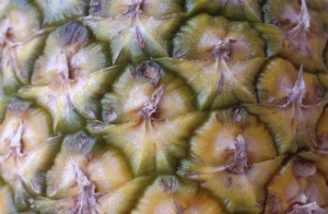 pineapple-i2iy