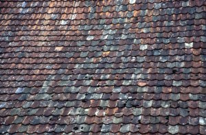 roof-uh8k