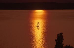 sailing-boat-lake