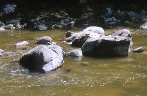 stones-river-z6tf
