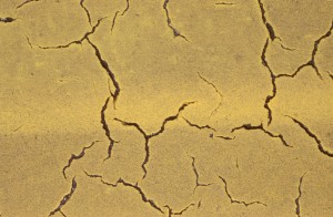 concrete-yellow-85