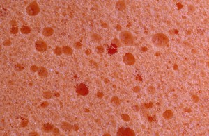 sponge-t7ev