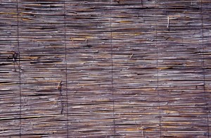 texture-fv7y
