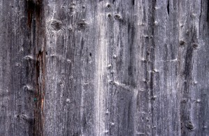 texture-p56a