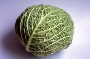 vegetable-z1qi