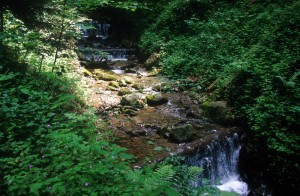 brook-waterfall-4er1