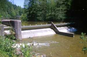 dam-k9t6