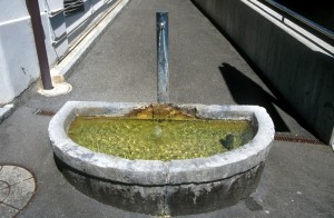 fountain-q6n1