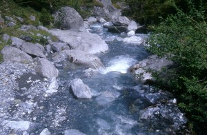 picture-river-g8ea