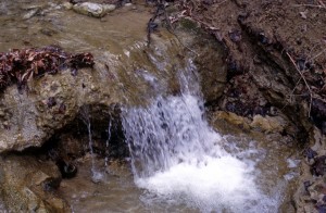 water-10