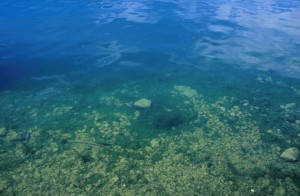 water-9d31