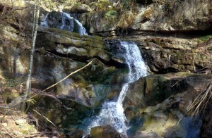 water-gy2n
