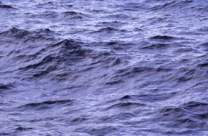 water-sjl6