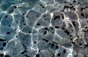 water-ual1