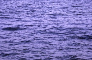 water-xq8q