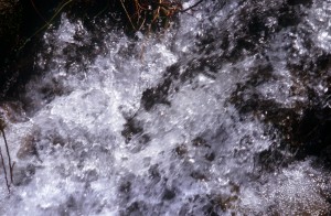 water-ym7b