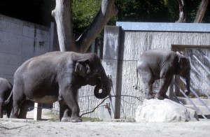zoo-020